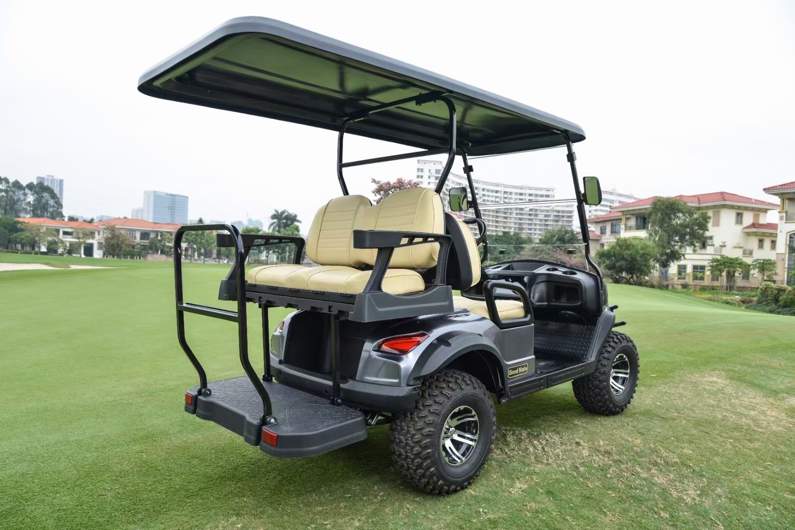 HXN2+2 golf cart