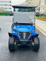 HXX2+2 golf cart